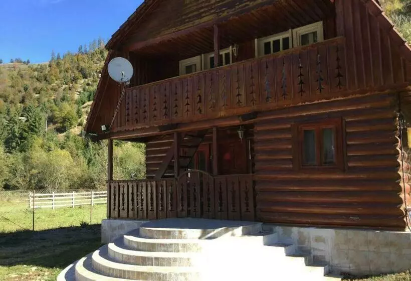 Bed and Breakfast Casa Albac