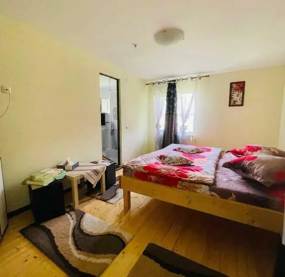 Bed and Breakfast Casa Albac