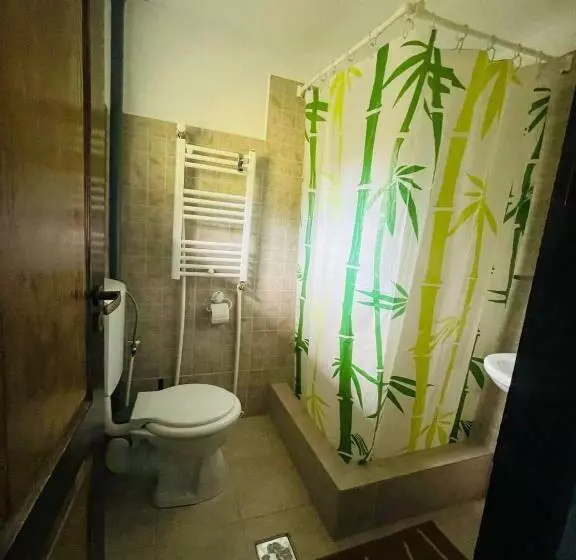 Bed and Breakfast Casa Albac