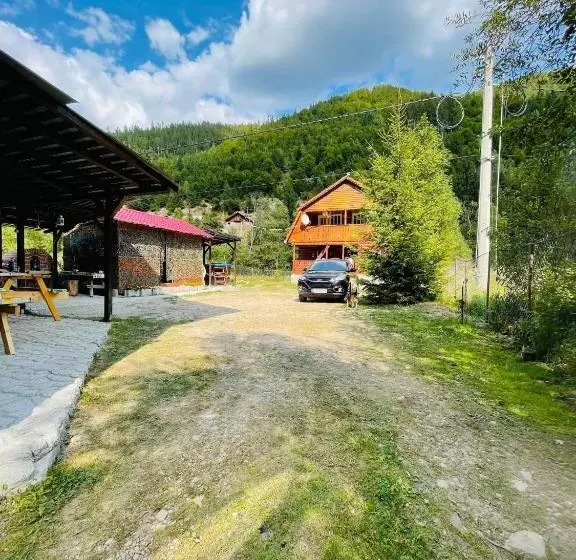 Bed and Breakfast Casa Albac