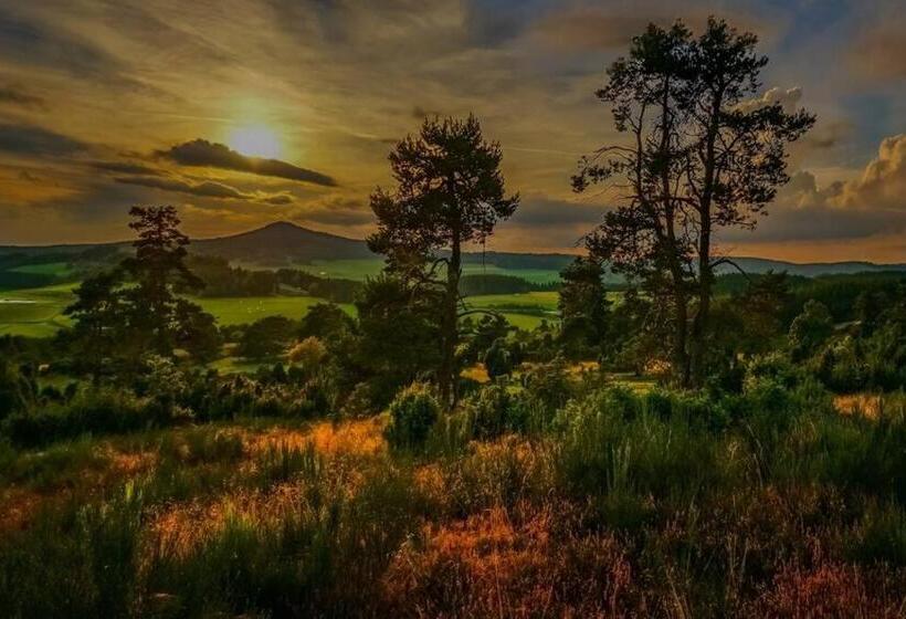 Пансион Altes Schwesternhaus Homesite Apartments