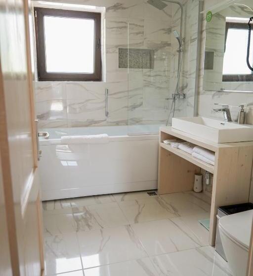 پانسیون Montana 219