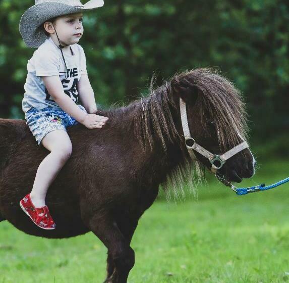 Majatalo Penzion Wellness Chechluvka