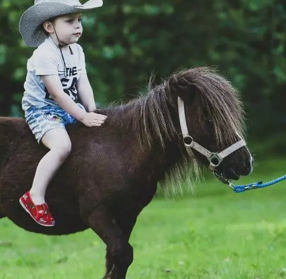 Majatalo Penzion Wellness Chechluvka