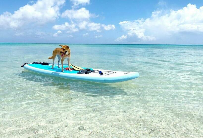 펜션 Yadoya Lotus Vacation Stay 34285v