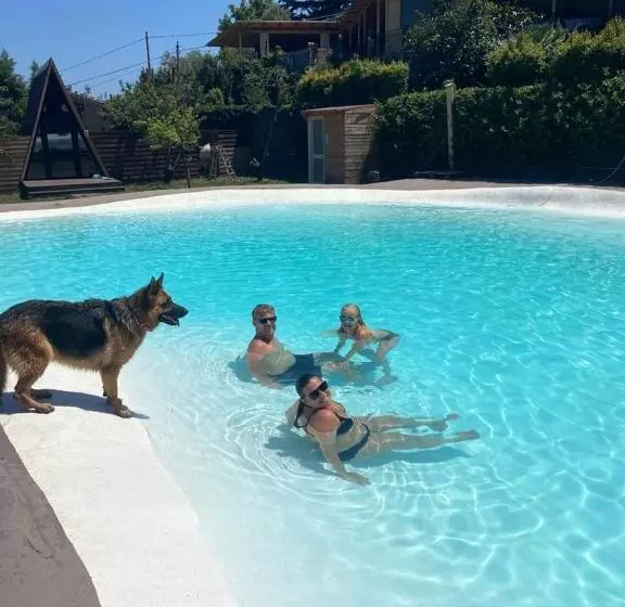 B&b Belvedere
