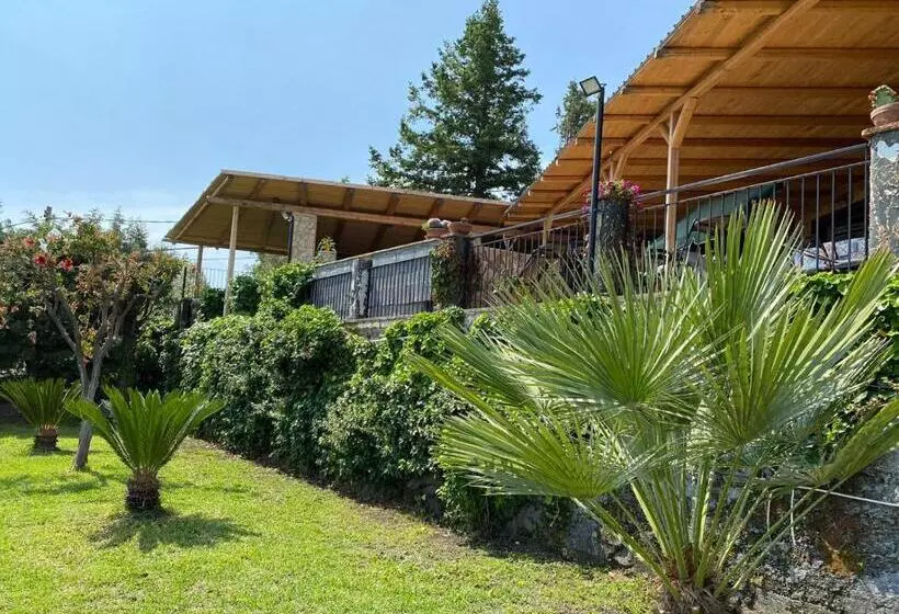 B&b Belvedere