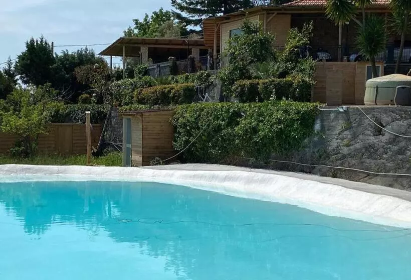 B&b Belvedere