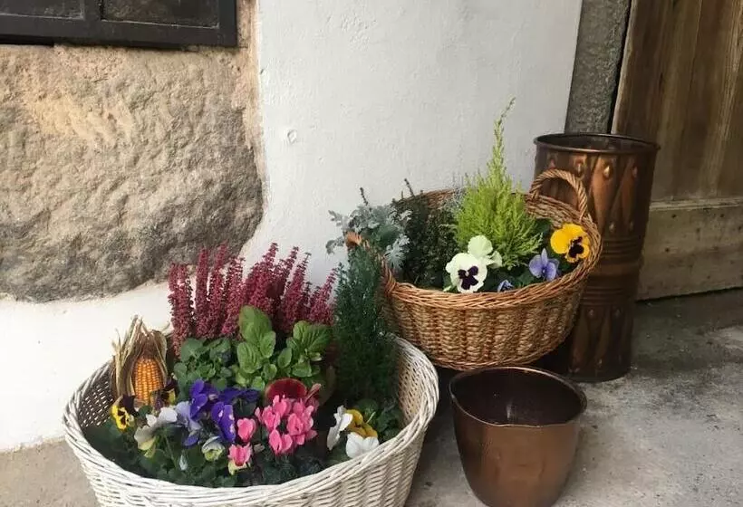 B&b La Corte Del Segrino