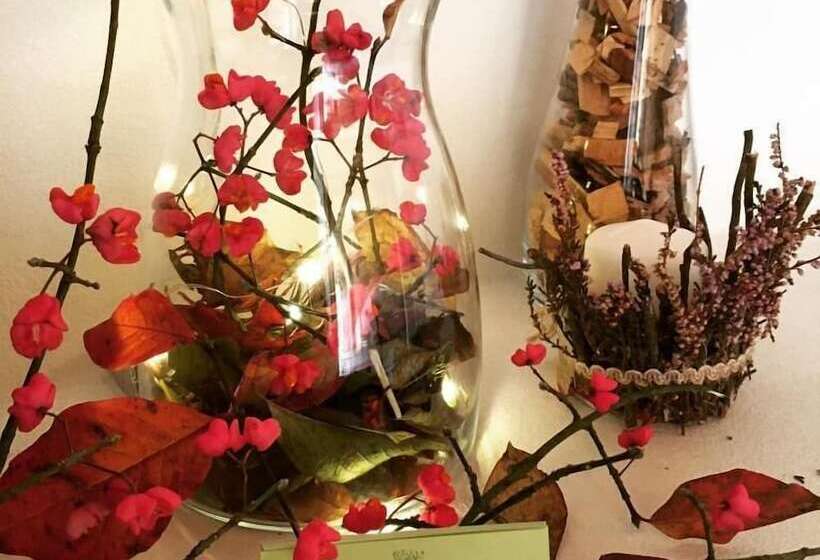 B&b La Corte Del Segrino