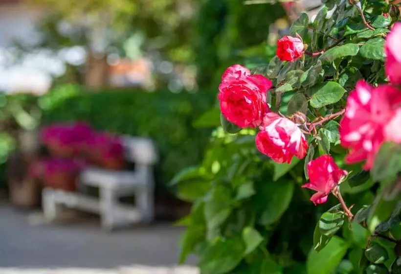 Aamiaismajoitus (B&B) Hedèrarooms