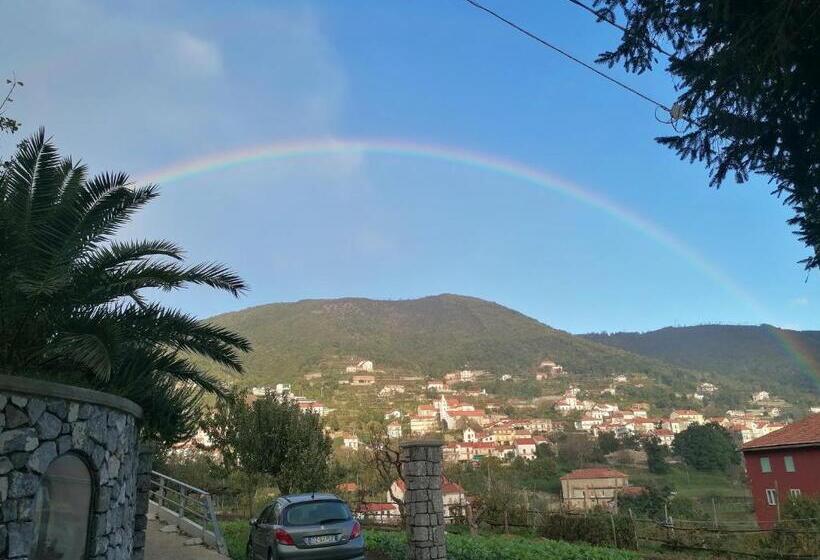 צימר Hedèrarooms