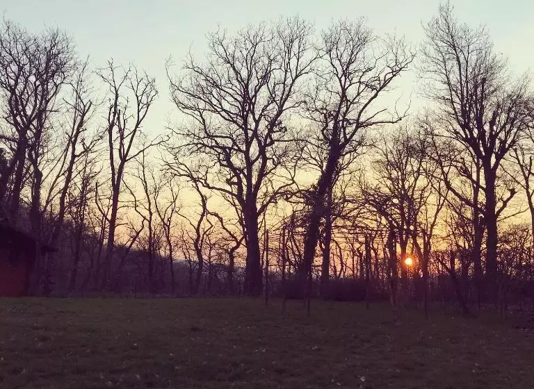 Aamiaismajoitus (B&B) Nîdwazô   Ecolodge & Maison D Hôtes