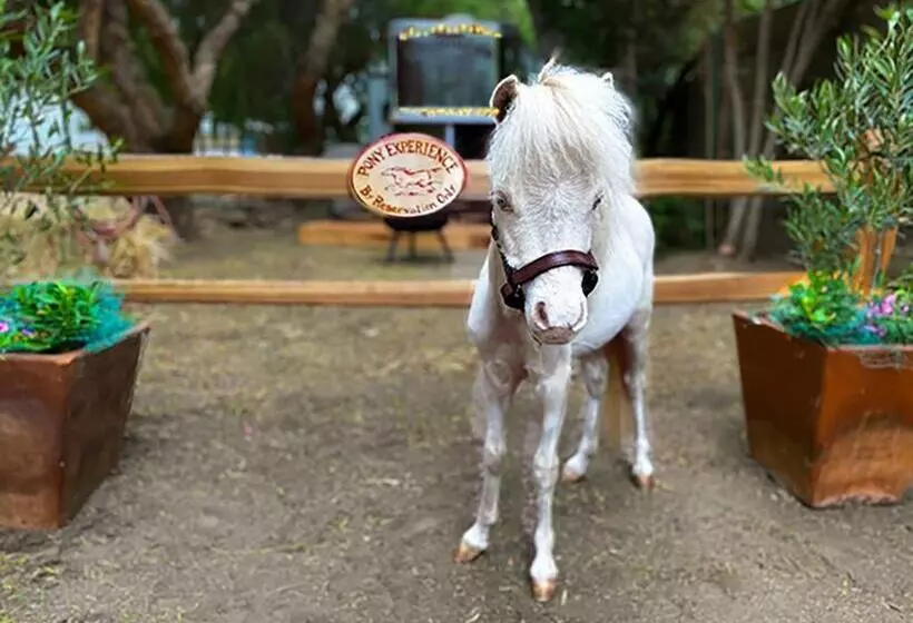 ホテル The Pony Experience; Glamping With Private Petting Zoo