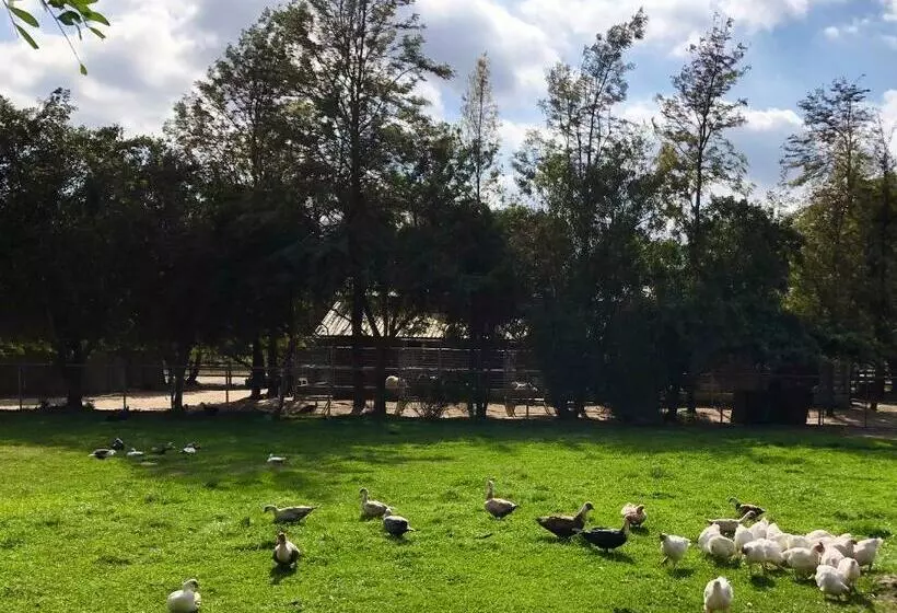 ホテル The Pony Experience; Glamping With Private Petting Zoo
