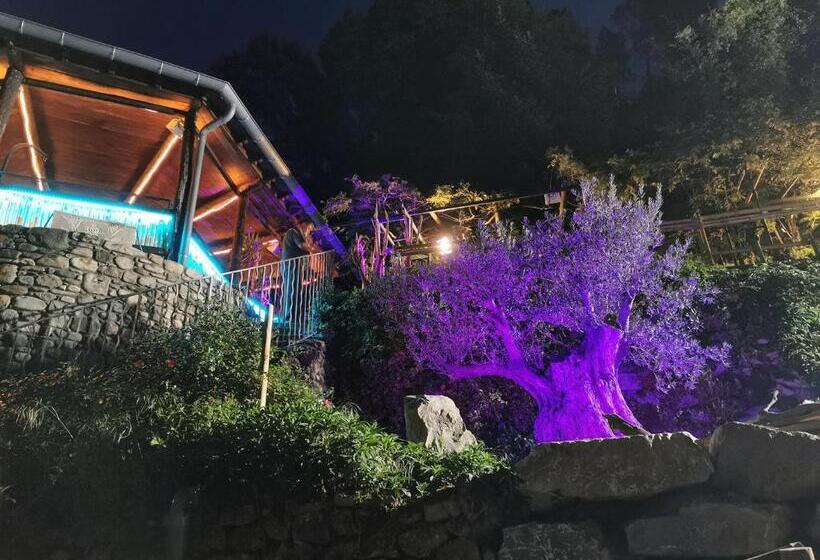 Bed and Breakfast Le Moulin Du Temps Chambres Et Lounge Bar Au Bord De La Rivière