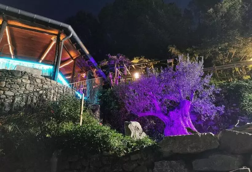 ベッドアンドブレックファースト Le Moulin Du Temps  Chambres Et Lounge Bar Au Bord De La Rivière