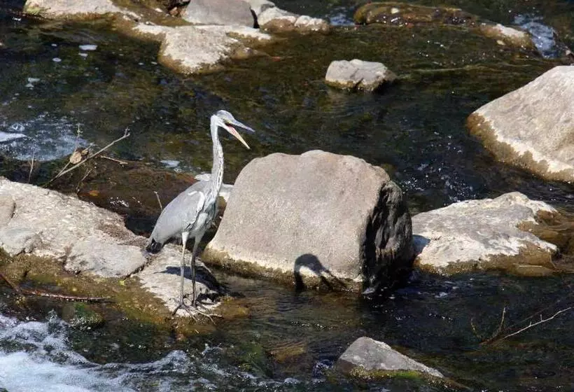 ベッドアンドブレックファースト Le Moulin Du Temps  Chambres Et Lounge Bar Au Bord De La Rivière