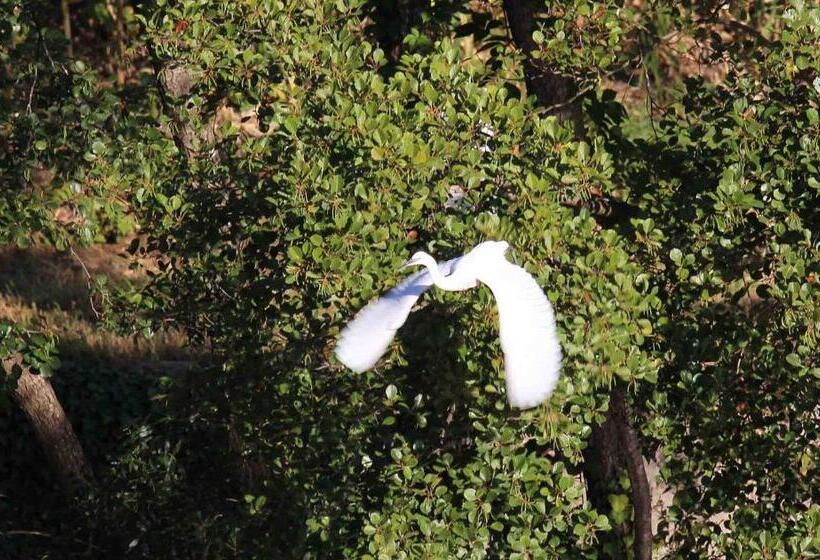 Bed and Breakfast Le Moulin Du Temps Chambres Et Lounge Bar Au Bord De La Rivière