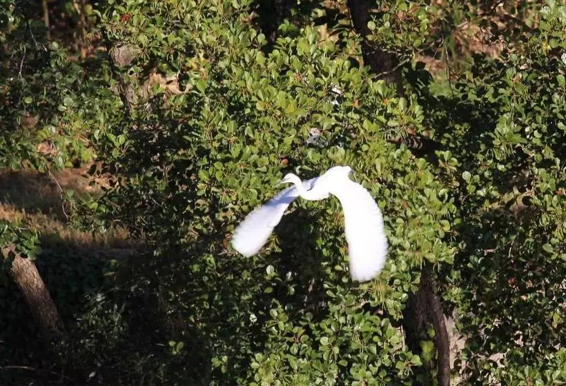 ベッドアンドブレックファースト Le Moulin Du Temps  Chambres Et Lounge Bar Au Bord De La Rivière