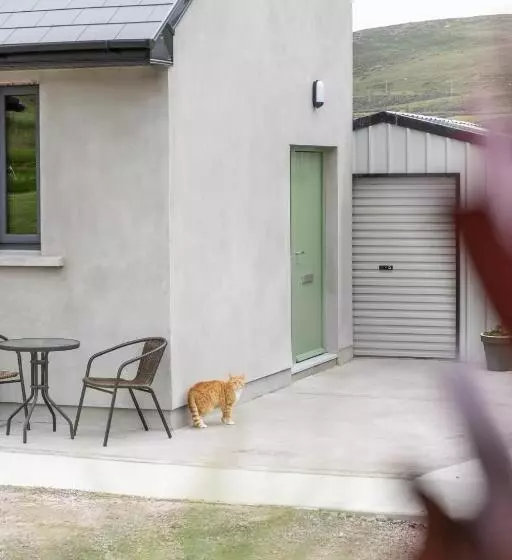 ペンション The Hawthorn Rooms Dingle