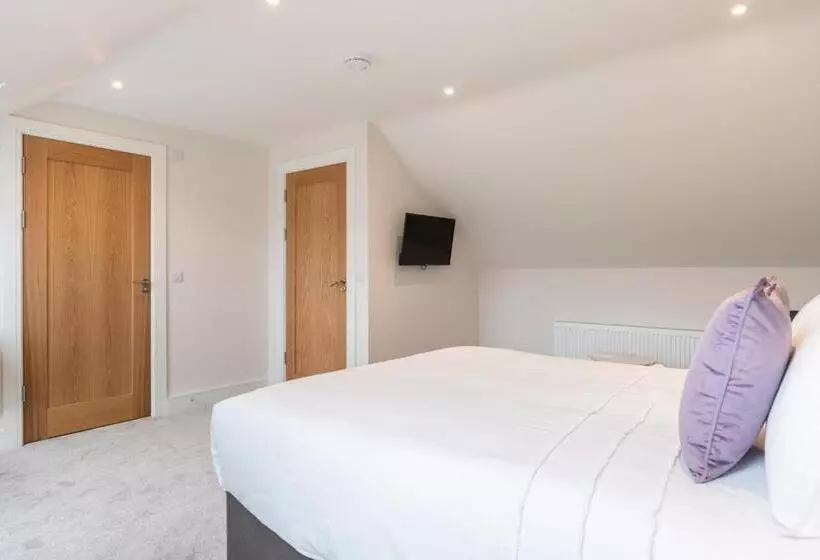 ペンション The Hawthorn Rooms Dingle