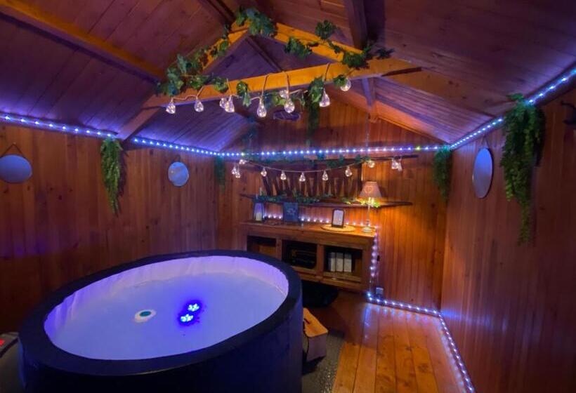 مبيت وإفطار La Réserve De L Aube   Hébergements Insolites Luxe Et Design