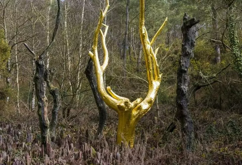 Aamiaismajoitus (B&B) Cocon De Douceur à Deux Pas De La Gare