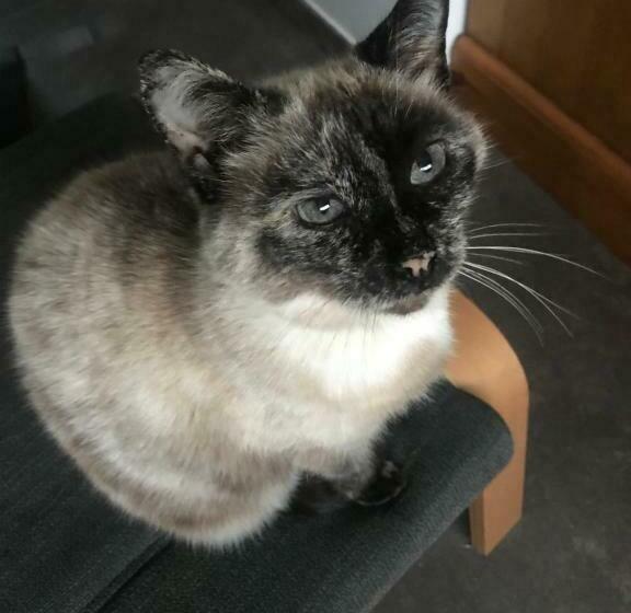 צימר Cocon De Douceur à Deux Pas De La Gare