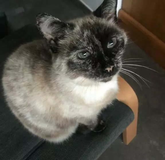 Aamiaismajoitus (B&B) Cocon De Douceur à Deux Pas De La Gare