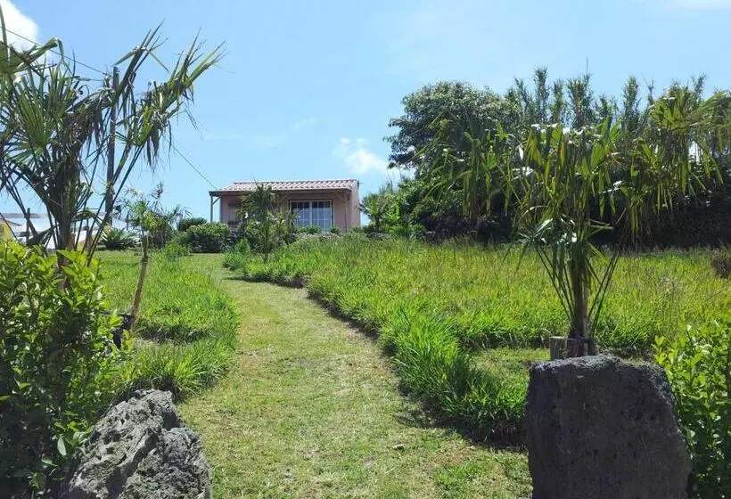 Faial Cottage B&b