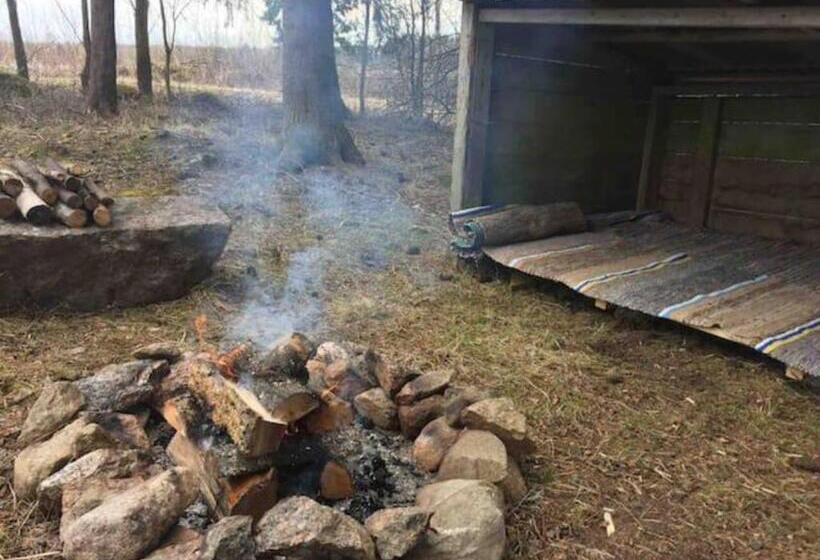 호텔 Niiralan Tila : Starlite Cabin