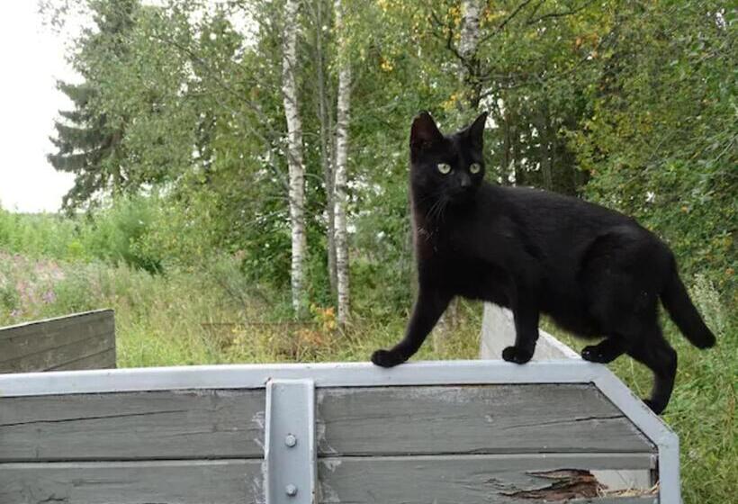 호텔 Niiralan Tila : Starlite Cabin