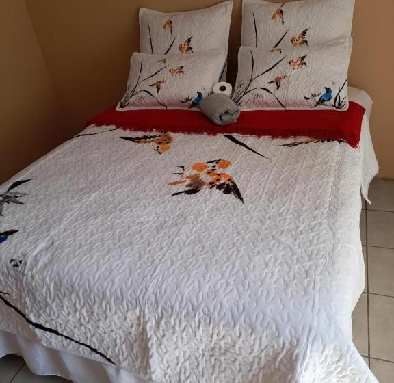 פנסיון Oakfield Lounge