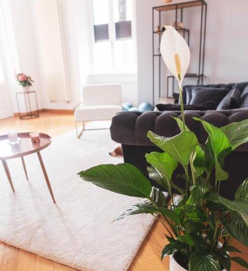 Pensiune Room Gatsby  Your Space With Garden In The City Center