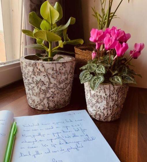 B&b Prachtig Allemachtig