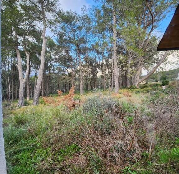 Bed and Breakfast A L Orée Des Pins   Gite Et Spa De 30 M2  Home Cinéma Et Massage En Sup