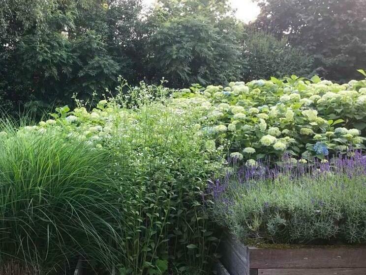 Bed And Breakfast De Paalberg