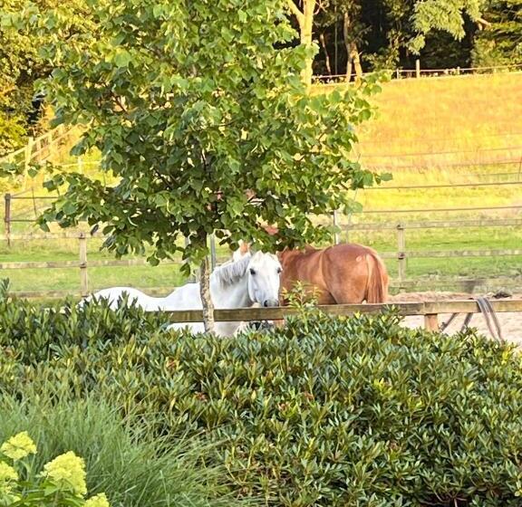 Bed And Breakfast De Paalberg