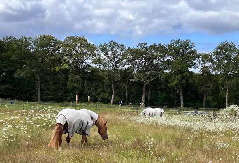 Bed And Breakfast De Paalberg
