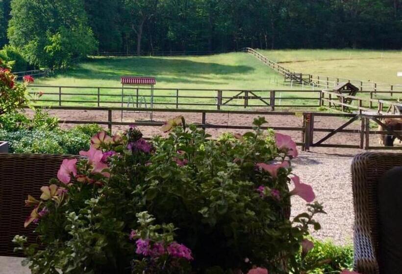 Bed And Breakfast De Paalberg