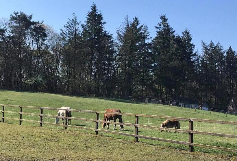 Bed And Breakfast De Paalberg