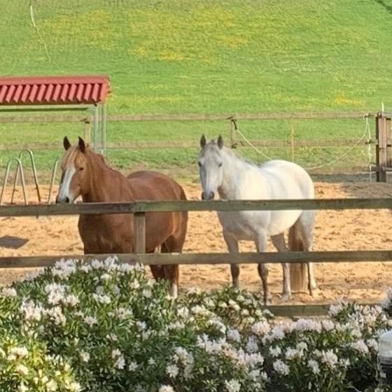 Bed And Breakfast De Paalberg