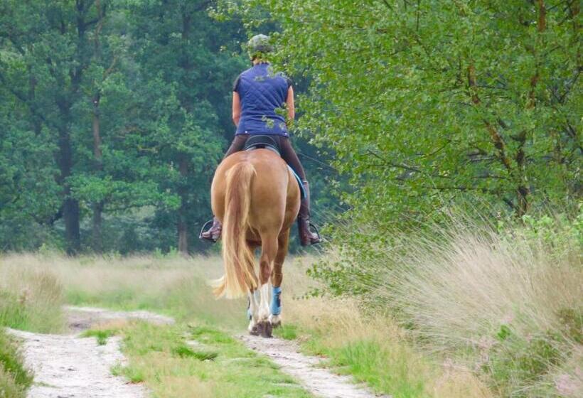 Bed And Breakfast De Paalberg