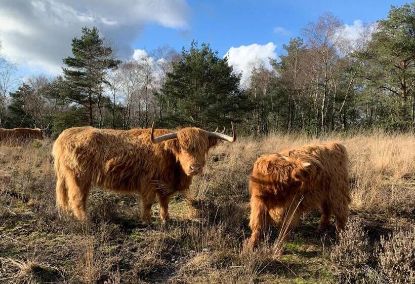 Bed And Breakfast De Paalberg
