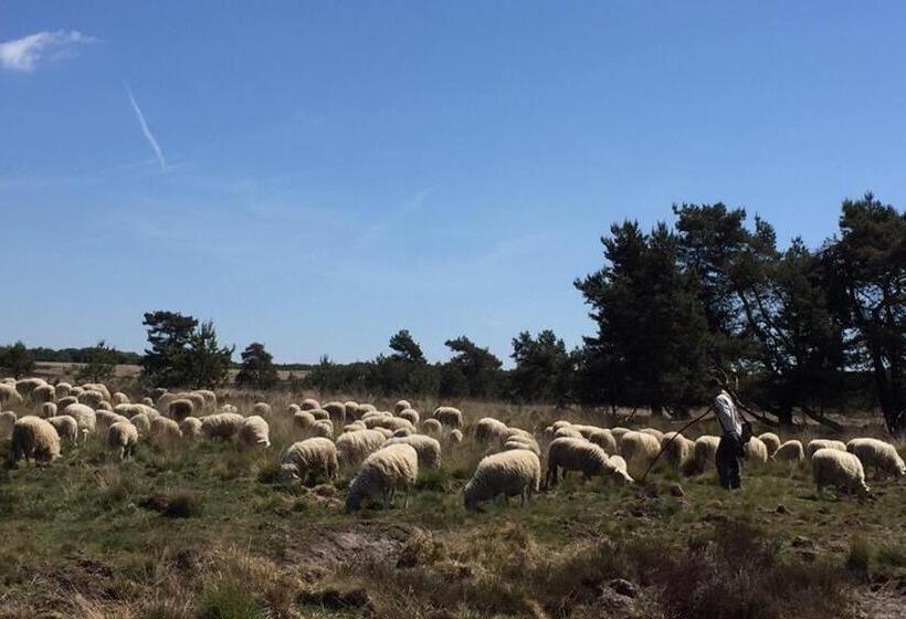 Bed And Breakfast De Paalberg