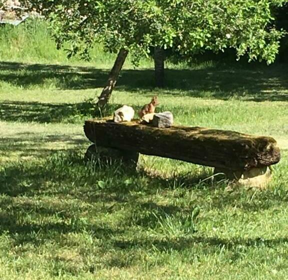 住宿加早餐  La Grange Aux Dames