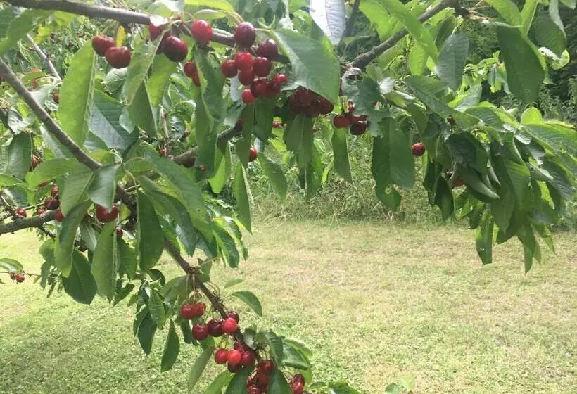 Aamiaismajoitus (B&B) La Grange Aux Dames