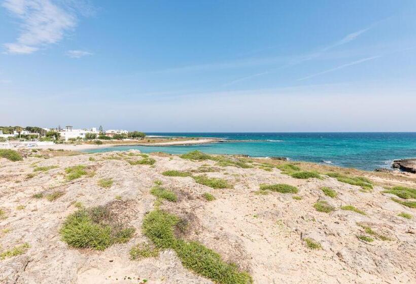 Пансион Dimora Terra Di Puglia