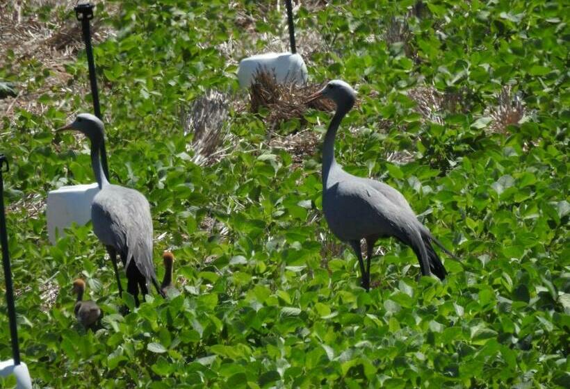 펜션 Oorvloed Guesthouse